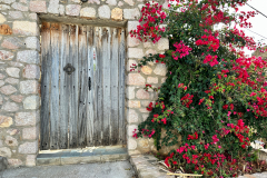 2022-10_ELIKA_Gartentor