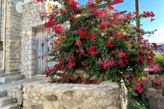 2022-10_ELIKA_Tor-zur-Terrasse